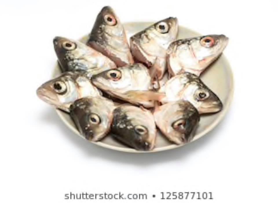 Fuck em and feed em fish heads!